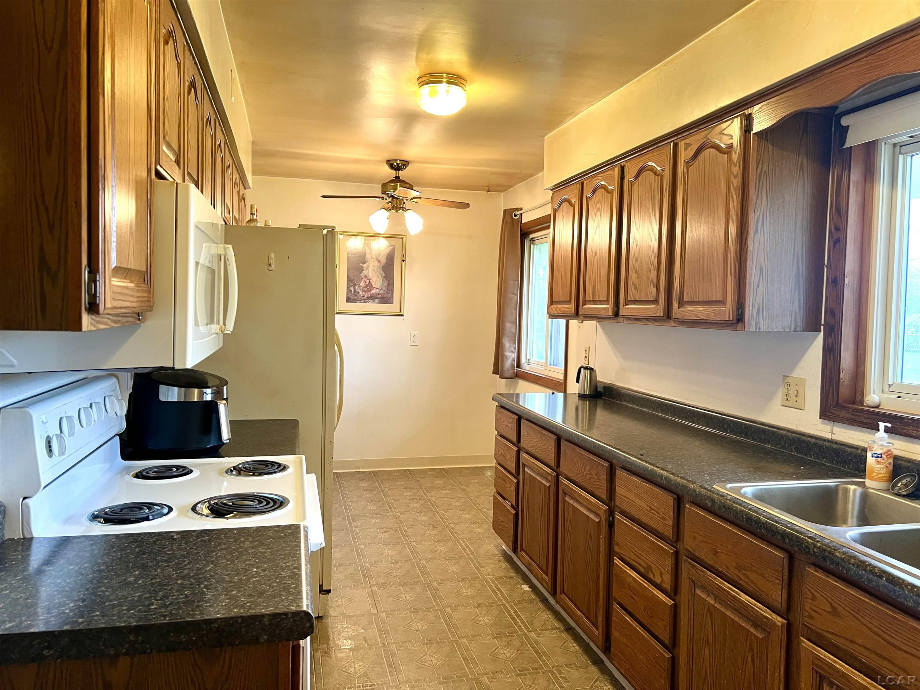 1016 River Acres Drive, Tecumseh, MI 49286 — Photo 3