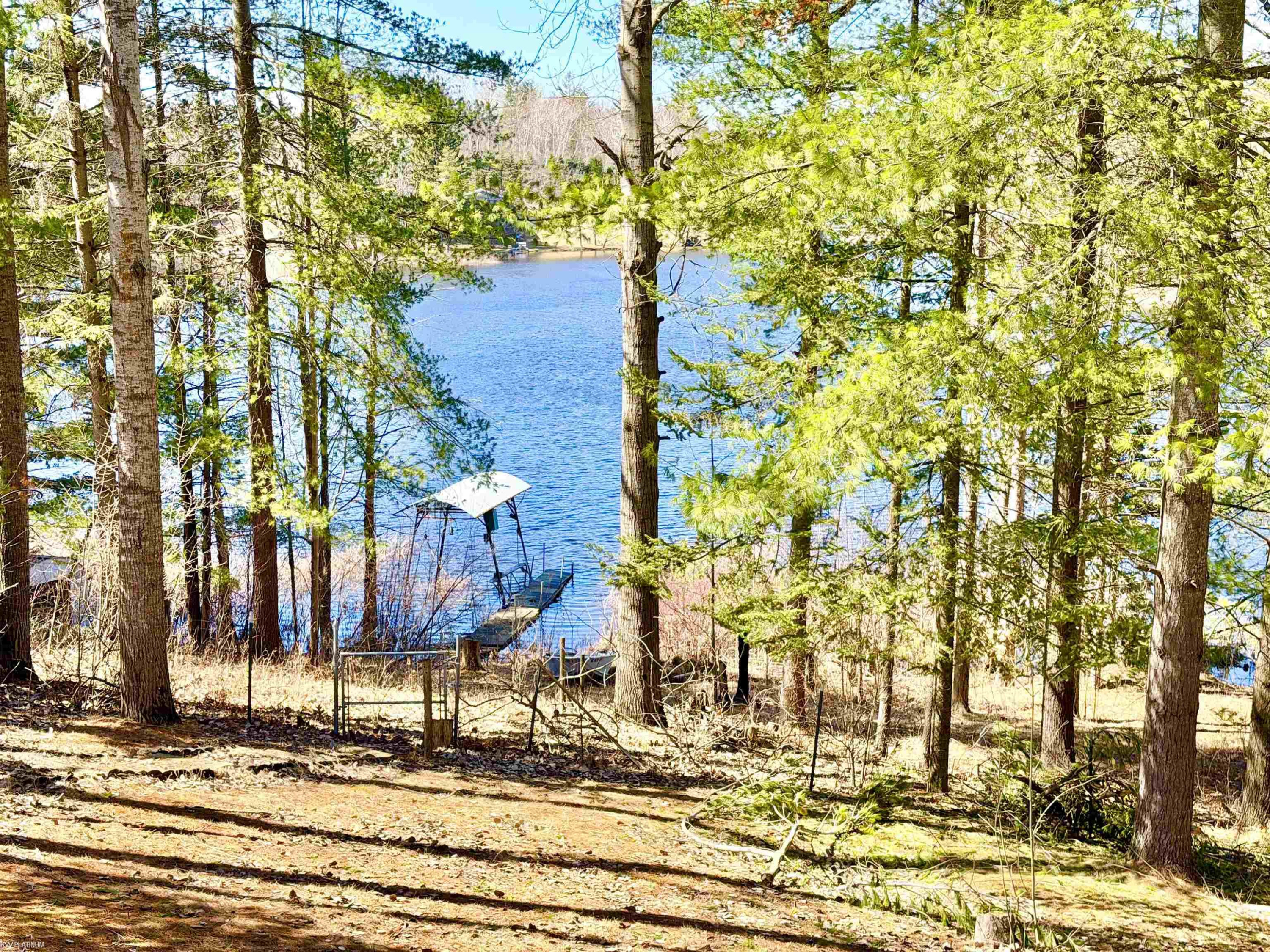 4827 Diehl Trail, Hale, MI 48739 — Photo 9