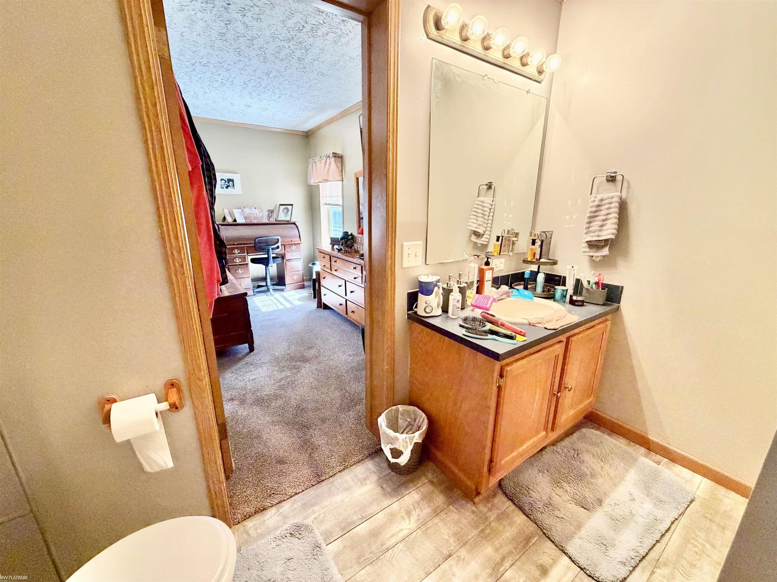 4827 Diehl Trail, Hale, MI 48739 — Photo 17