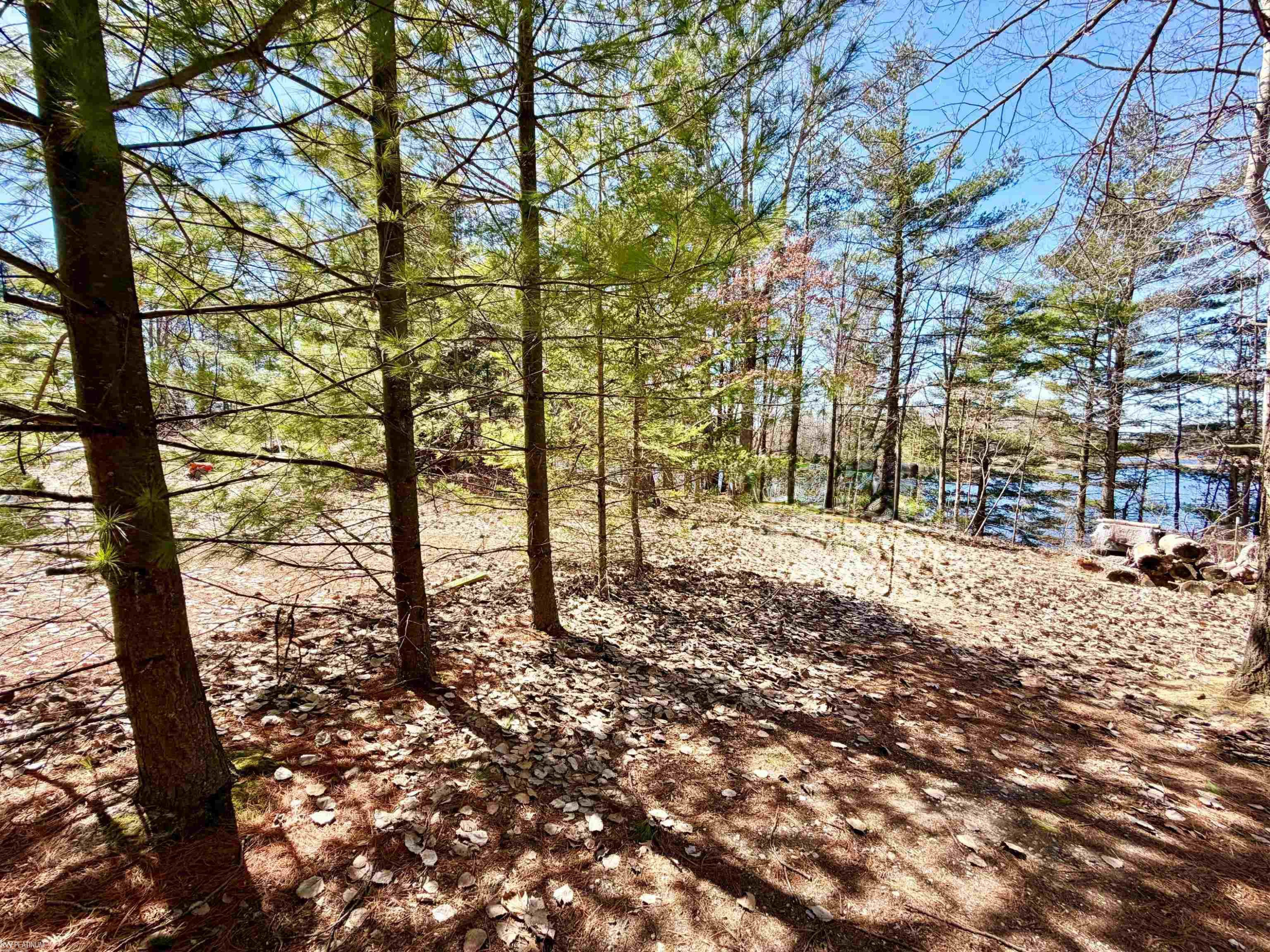 4827 Diehl Trail, Hale, MI 48739 — Photo 27
