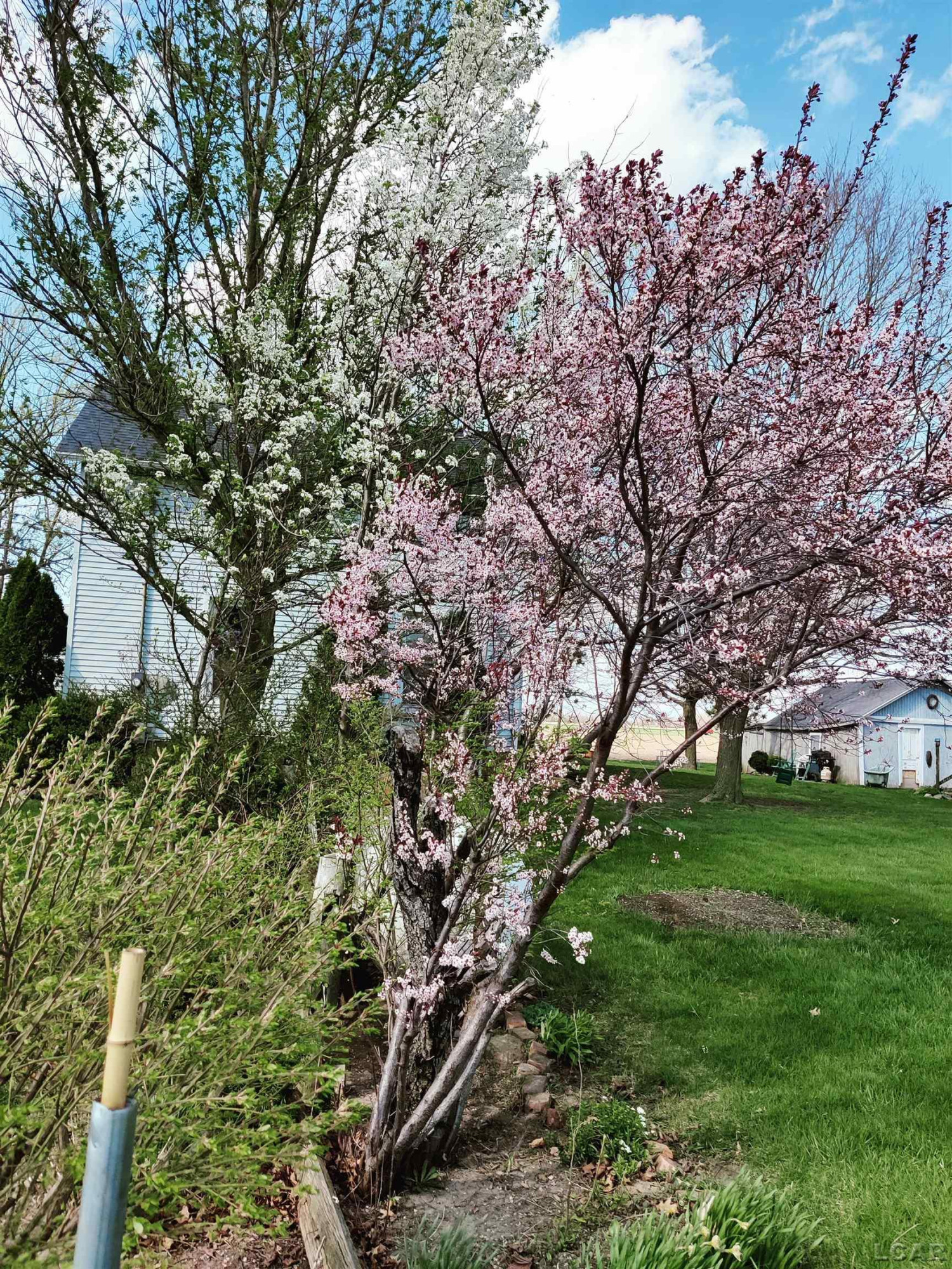 8135 Berkey Highway, Blissfield, MI 49228 — Photo 9