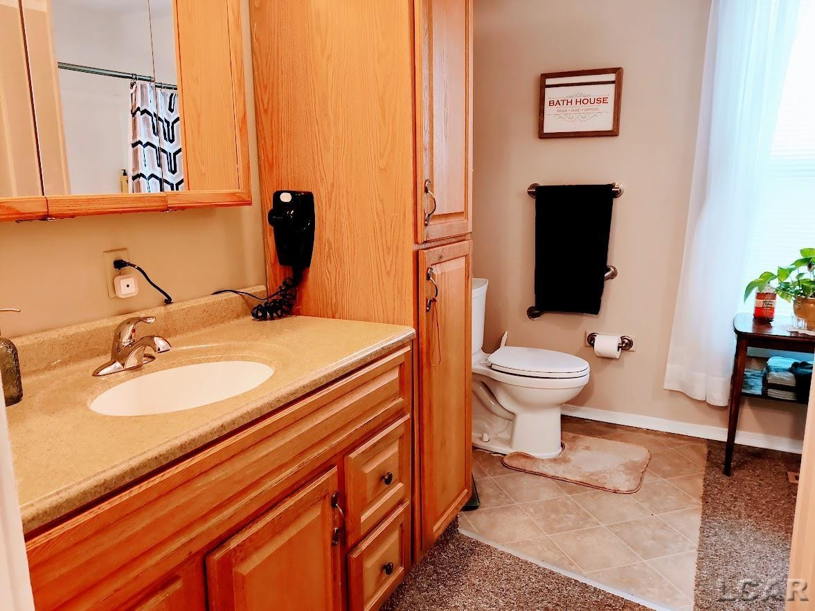 8135 Berkey Highway, Blissfield, MI 49228 — Photo 25