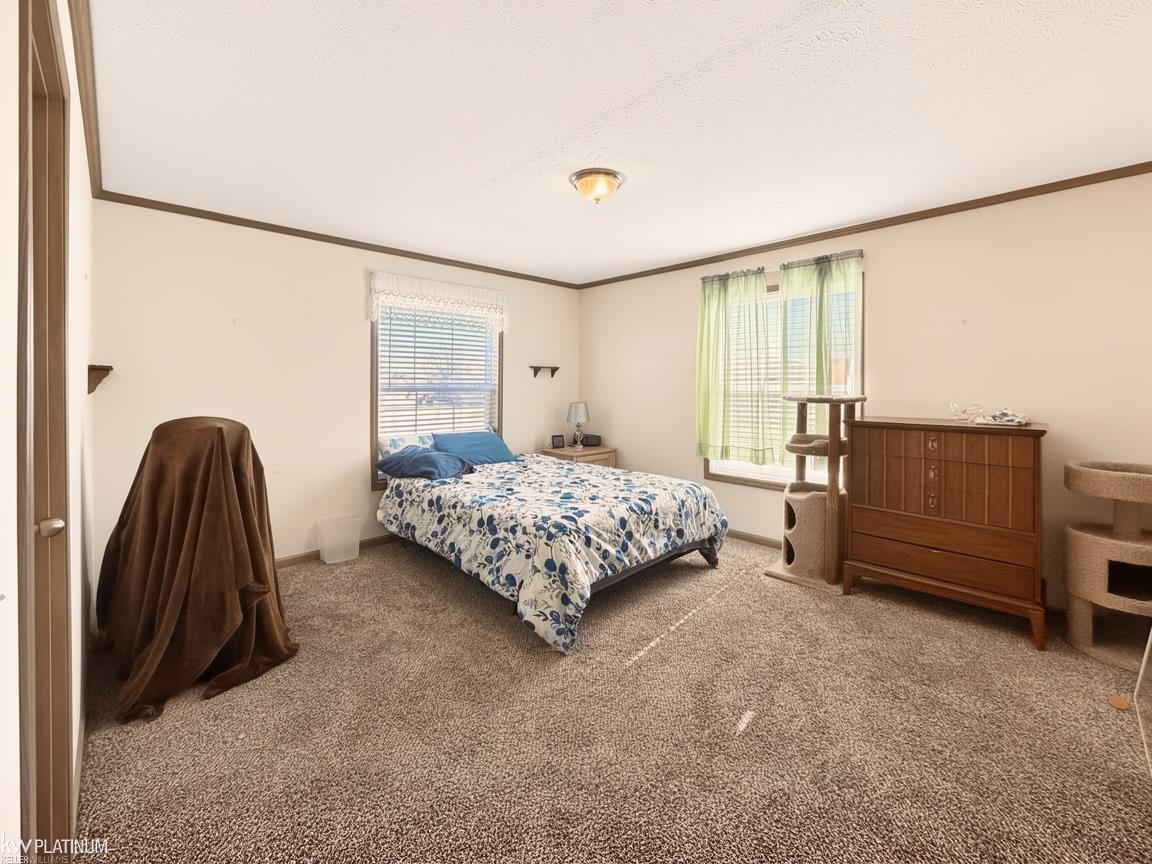 37151 Millstone Trail, New Haven, MI 48048 — Photo 7