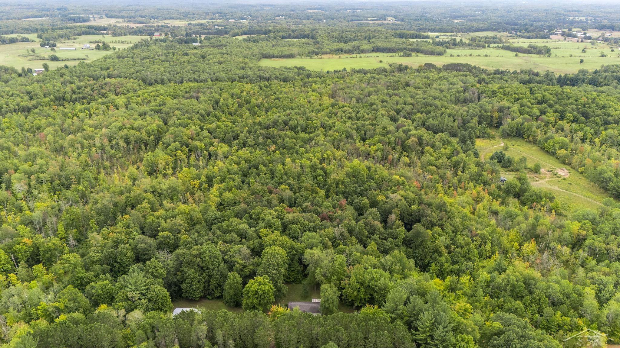 20686 Lakola Road, Tustin, MI 49688 — Photo 34