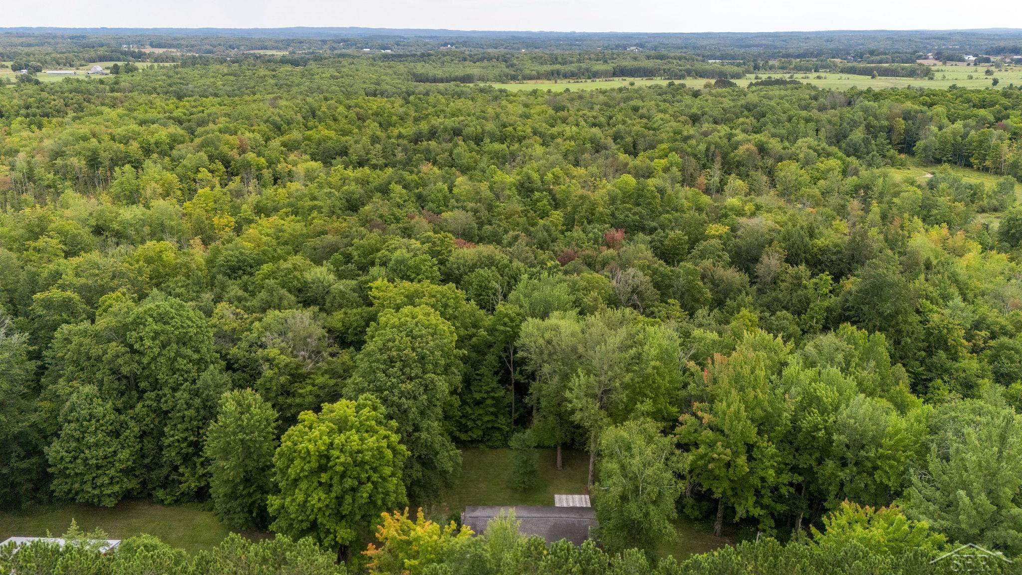 20686 Lakola Road, Tustin, MI 49688 — Photo 45