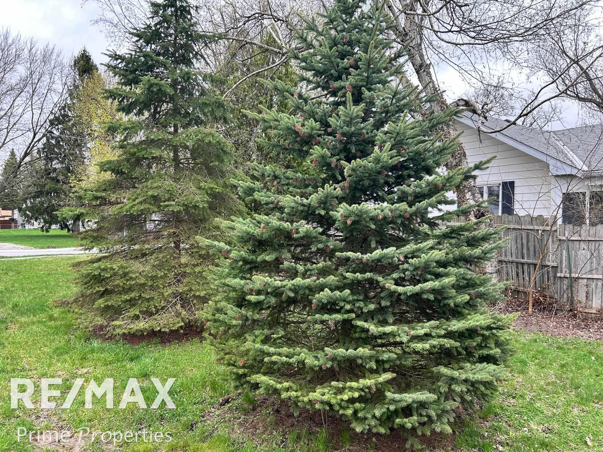 110 Butler Street, Clio, MI 48420 — Photo 25