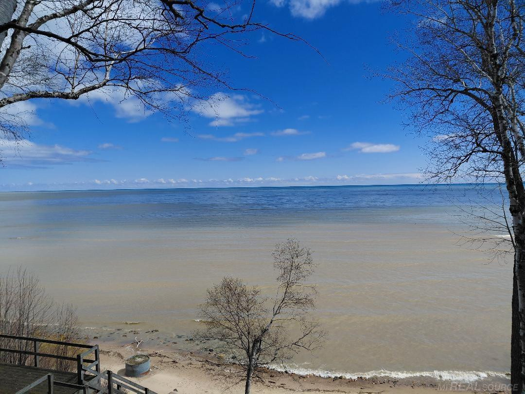 5806 N Lakeshore Road, Palms, MI 48465 — Photo 4