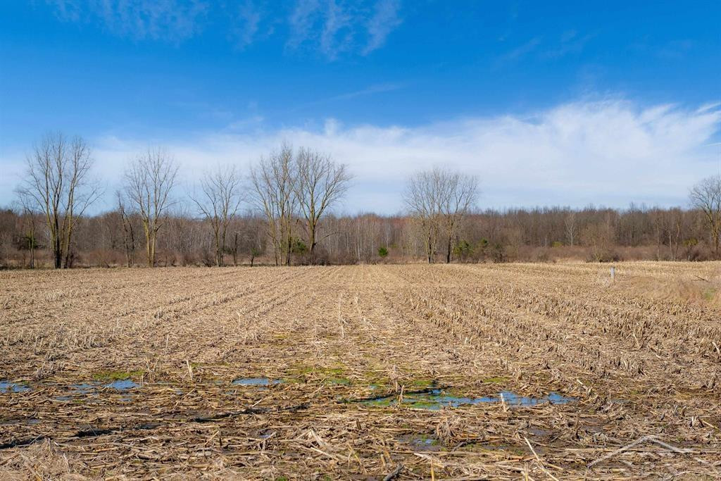 VL S Iva Road, Saint Charles, MI 48655 — Photo 3