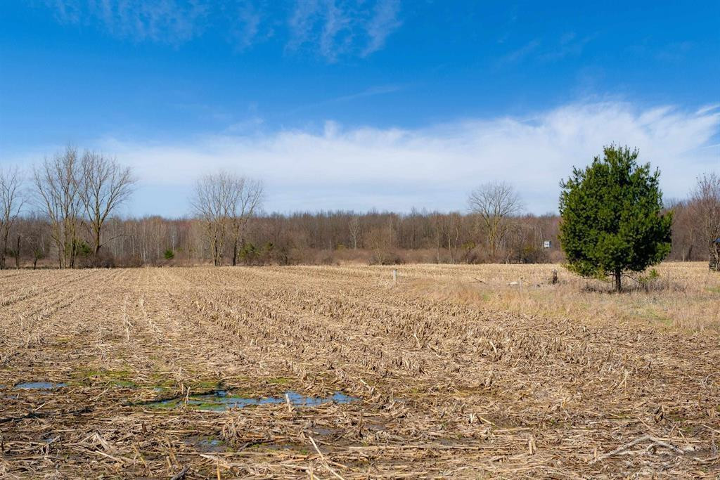 VL S Iva Road, Saint Charles, MI 48655 — Photo 4