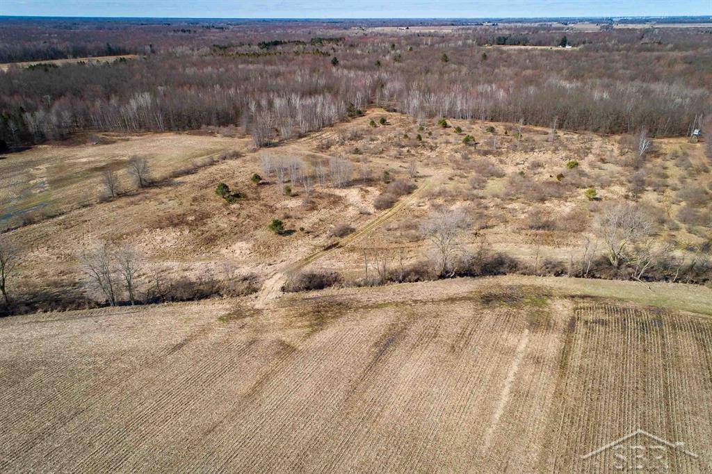 VL S Iva Road, Saint Charles, MI 48655 — Photo 11