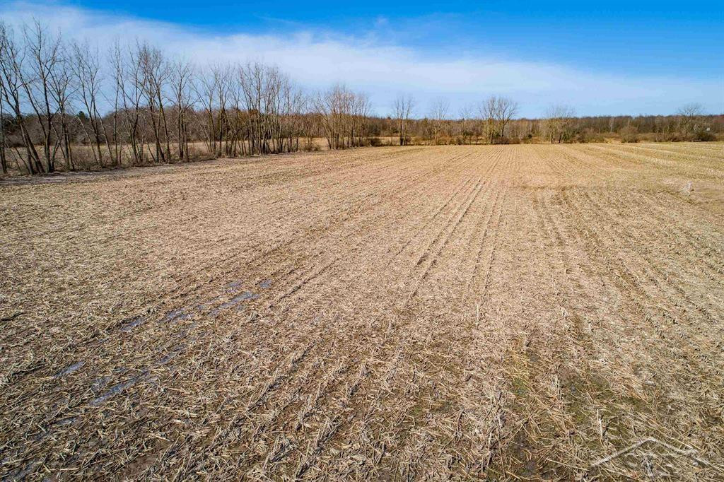 VL S Iva Road, Saint Charles, MI 48655 — Photo 17