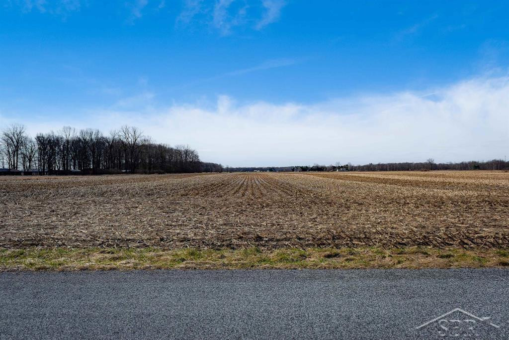 9.9 Acres Grabowski Road, Saint Charles, MI 48655 — Photo 5