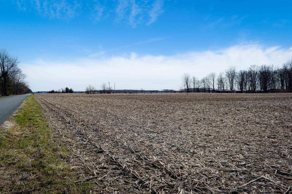 9.9 Acres Grabowski Road, Saint Charles, MI 48655 — Photo 6