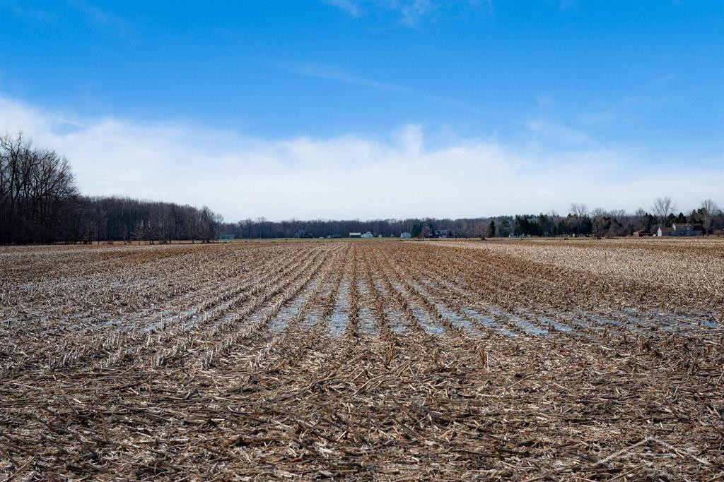 9.9 Acres Grabowski Road, Saint Charles, MI 48655 — Photo 10