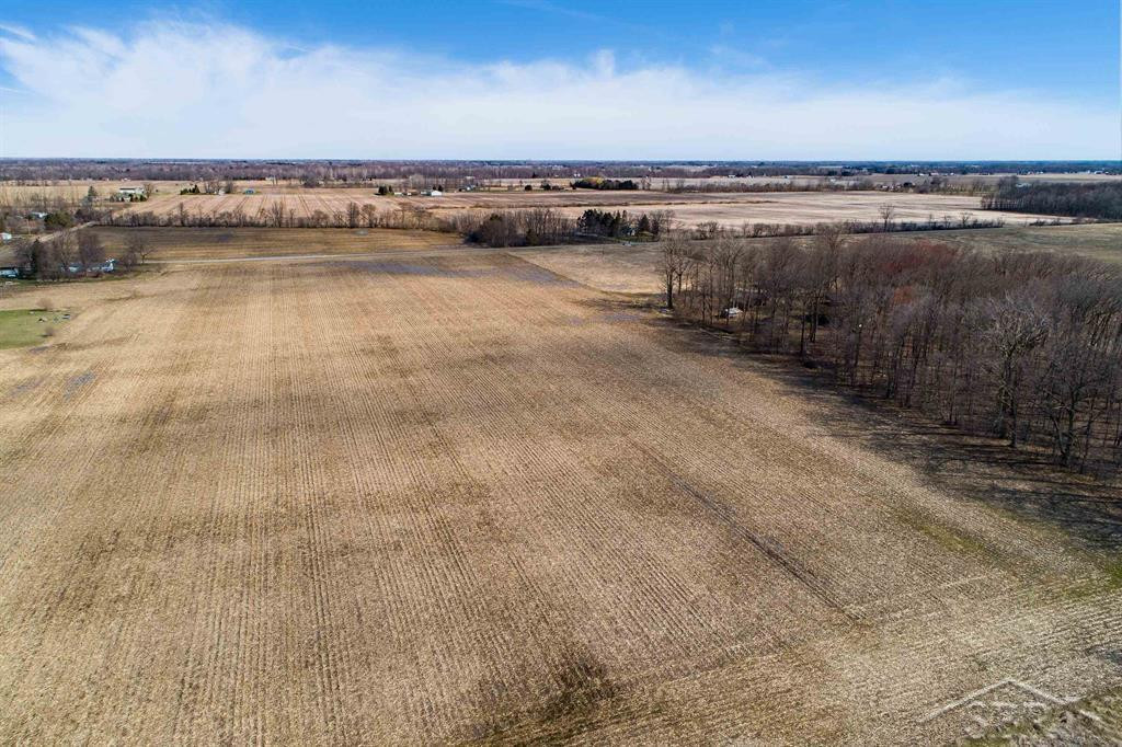 9.9 Acres Grabowski Road, Saint Charles, MI 48655 — Photo 13