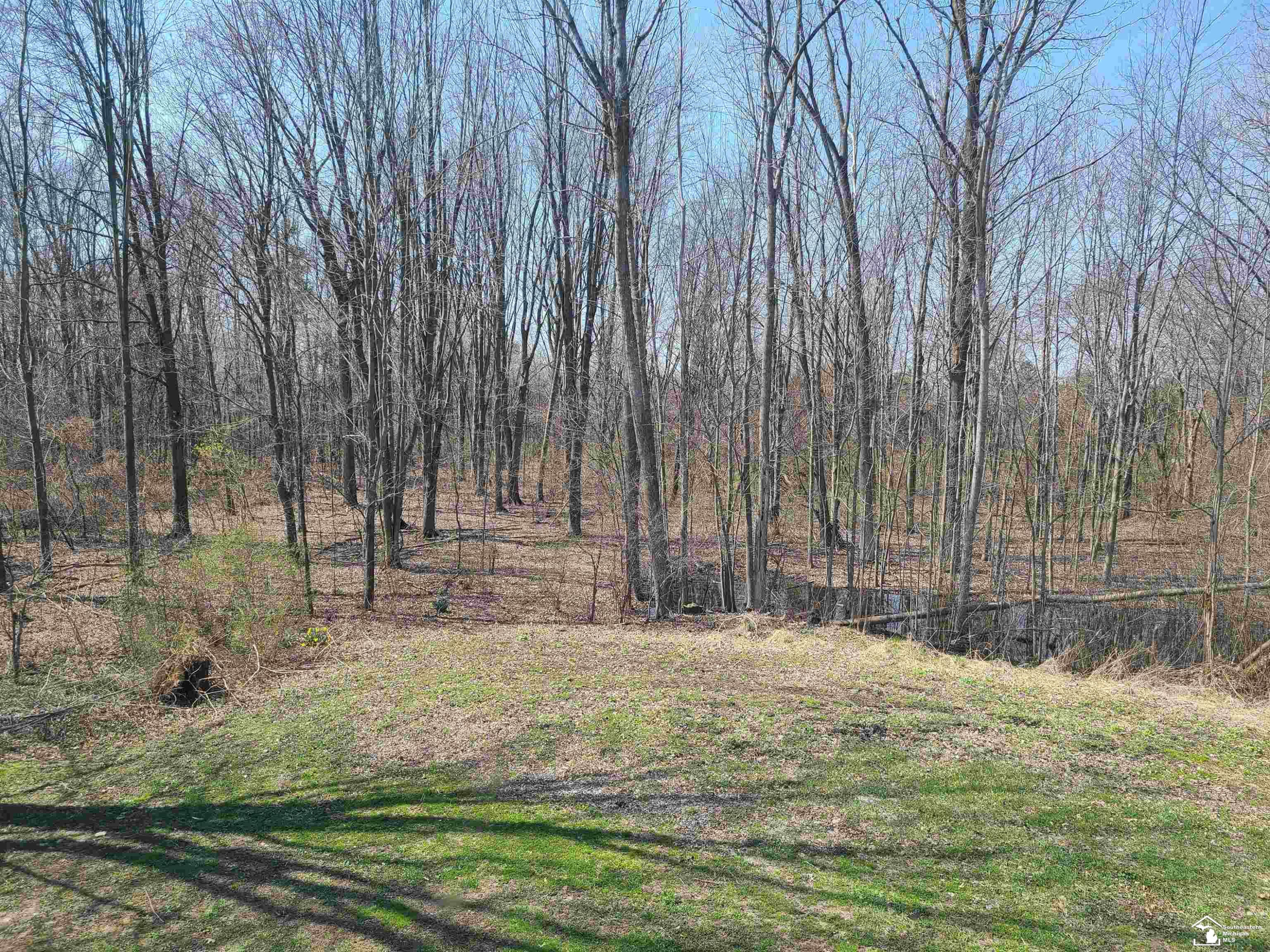 11581 Dixon Road, Monroe, MI 48161 — Photo 11