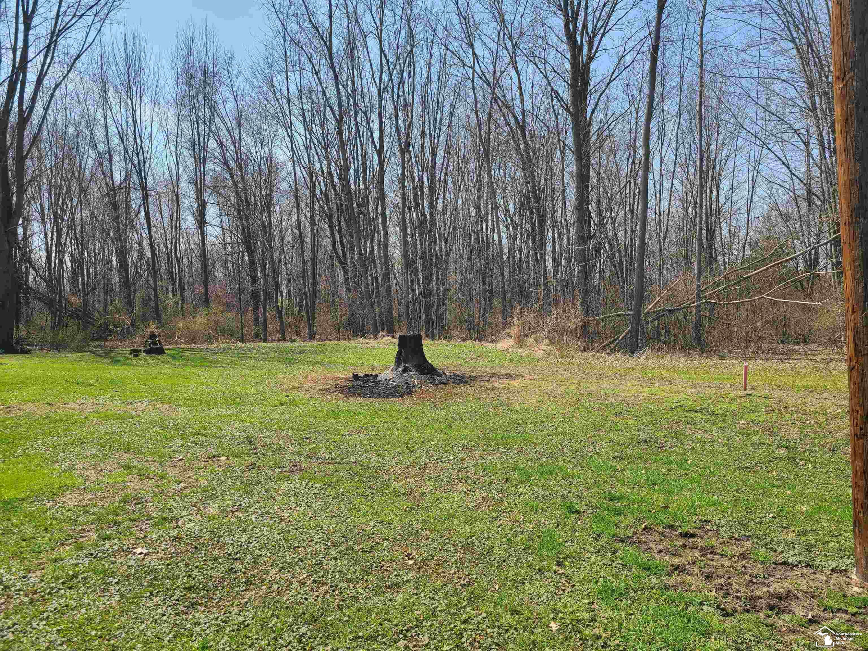 11581 Dixon Road, Monroe, MI 48161 — Photo 13