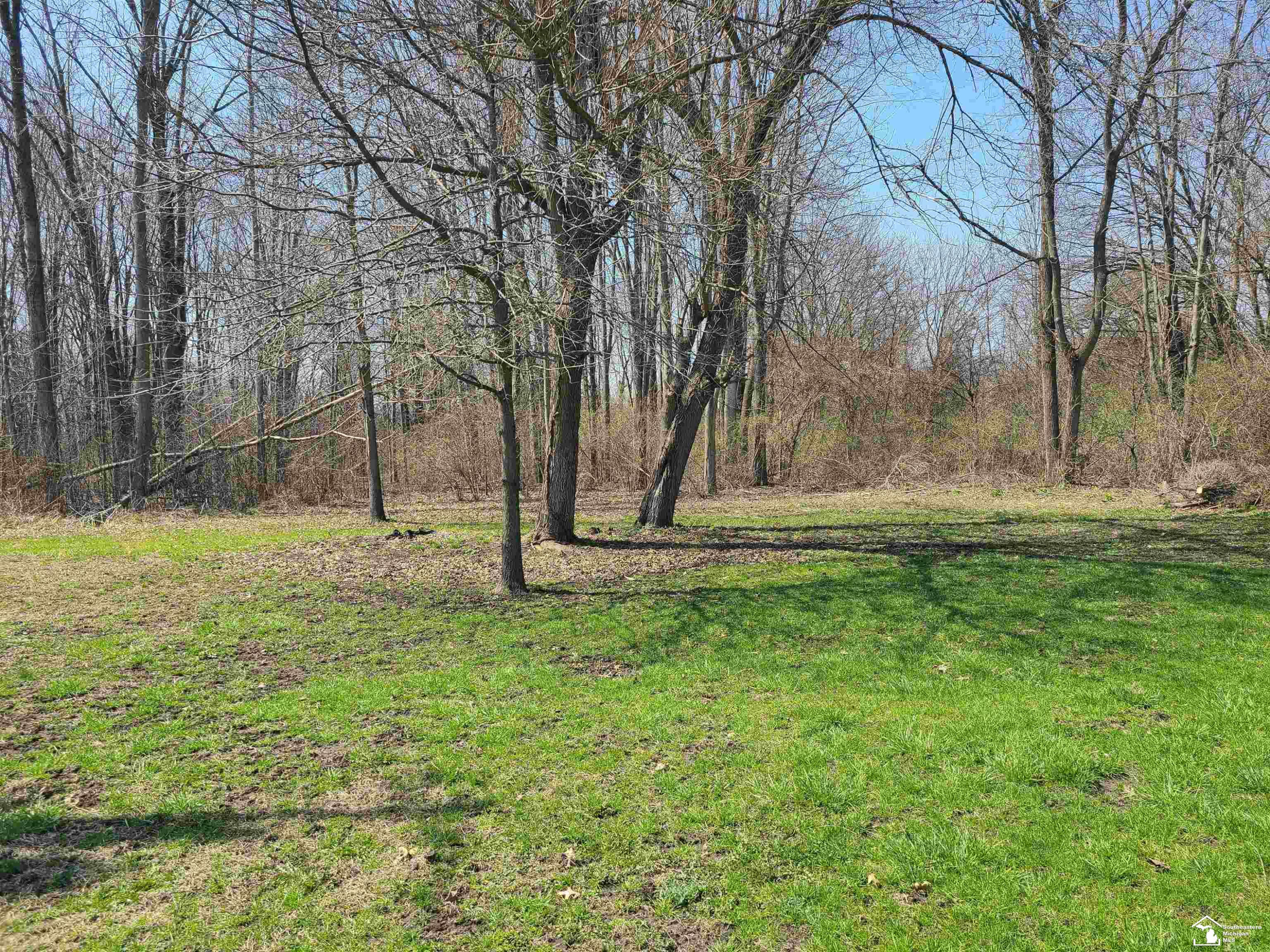 11581 Dixon Road, Monroe, MI 48161 — Photo 14