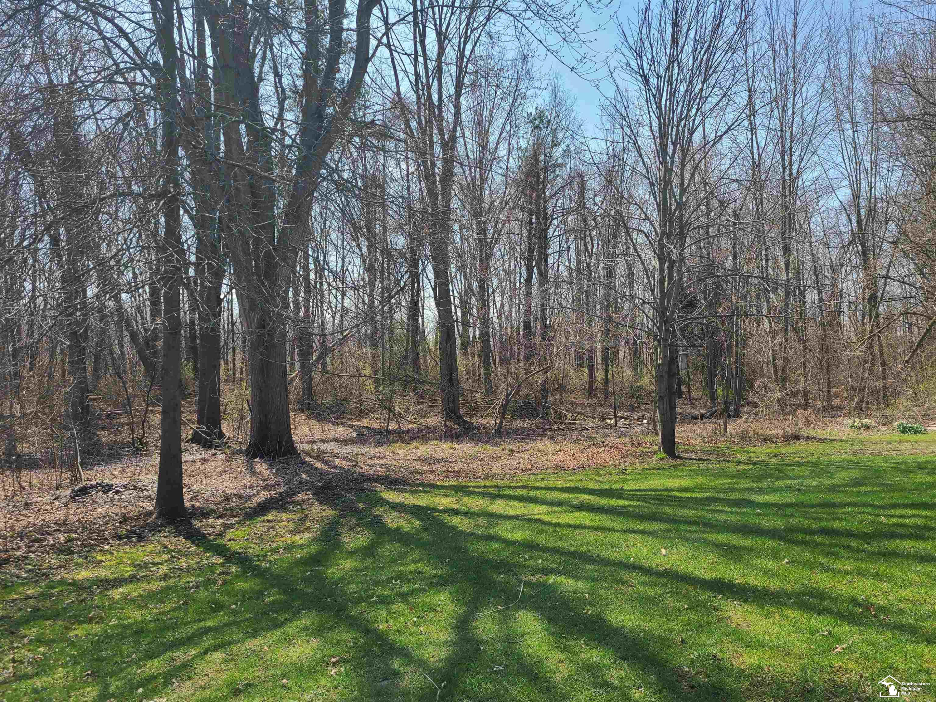 11581 Dixon Road, Monroe, MI 48161 — Photo 15