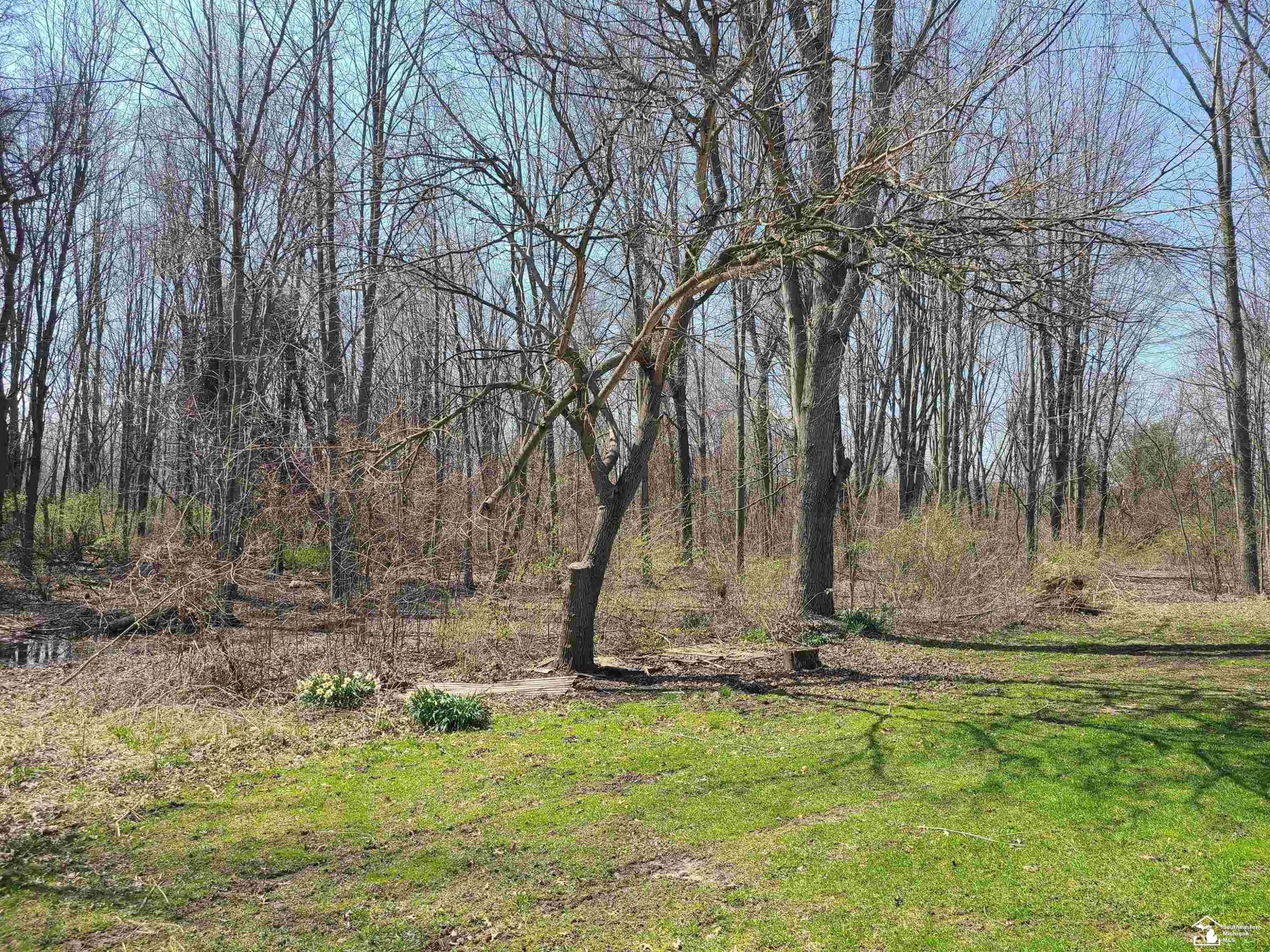 11581 Dixon Road, Monroe, MI 48161 — Photo 16