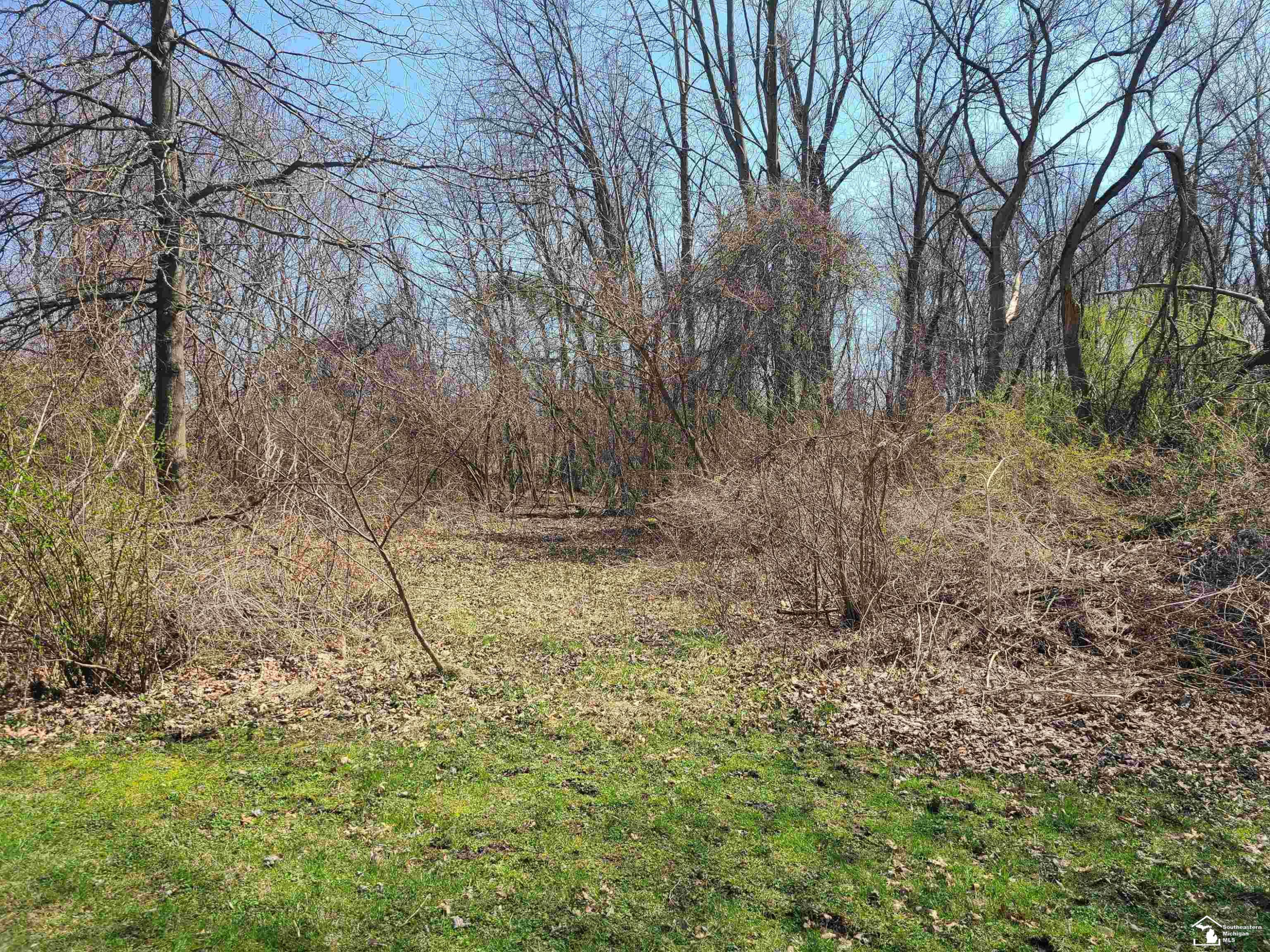 11581 Dixon Road, Monroe, MI 48161 — Photo 17