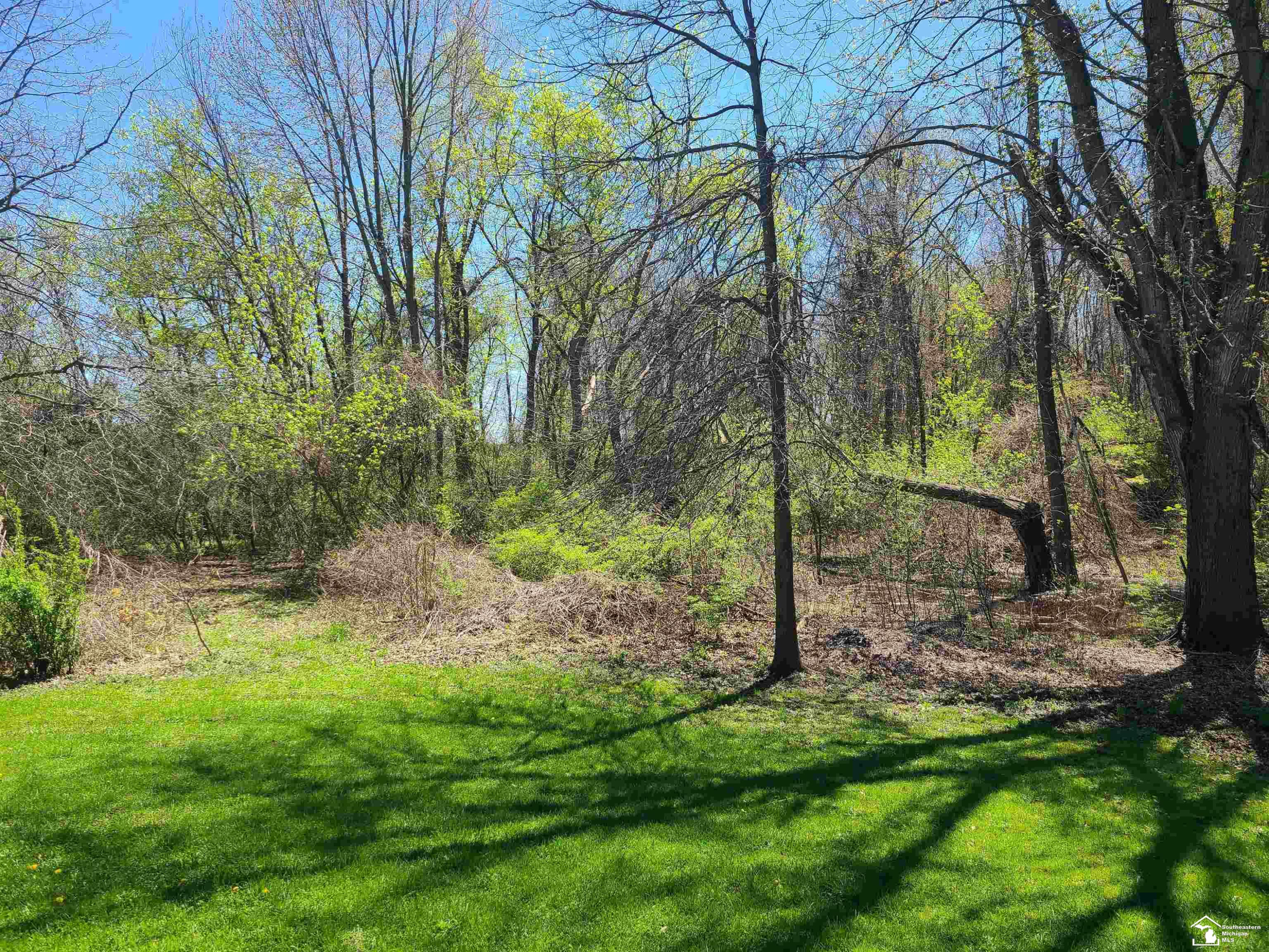 11581 Dixon Road, Monroe, MI 48161 — Photo 18