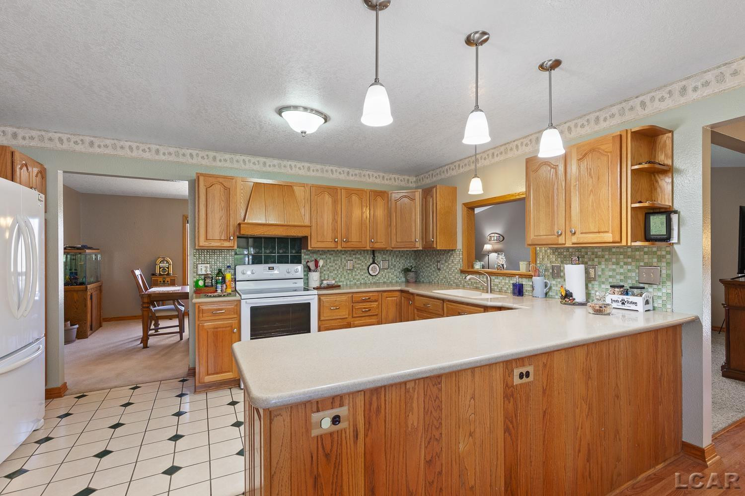 420 McClellan Street, Hudson, MI 49247 — Photo 16