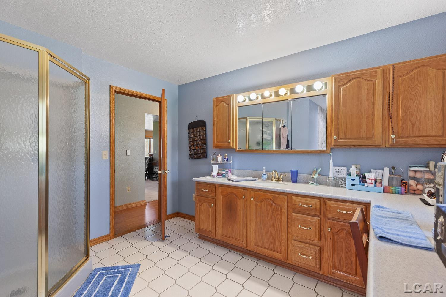 420 McClellan Street, Hudson, MI 49247 — Photo 29