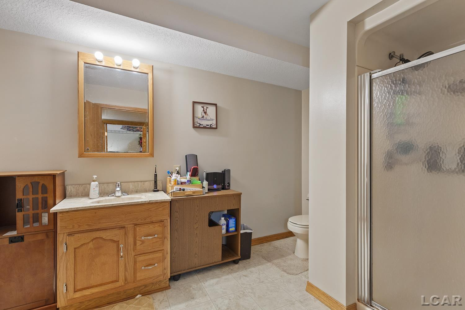 420 McClellan Street, Hudson, MI 49247 — Photo 46