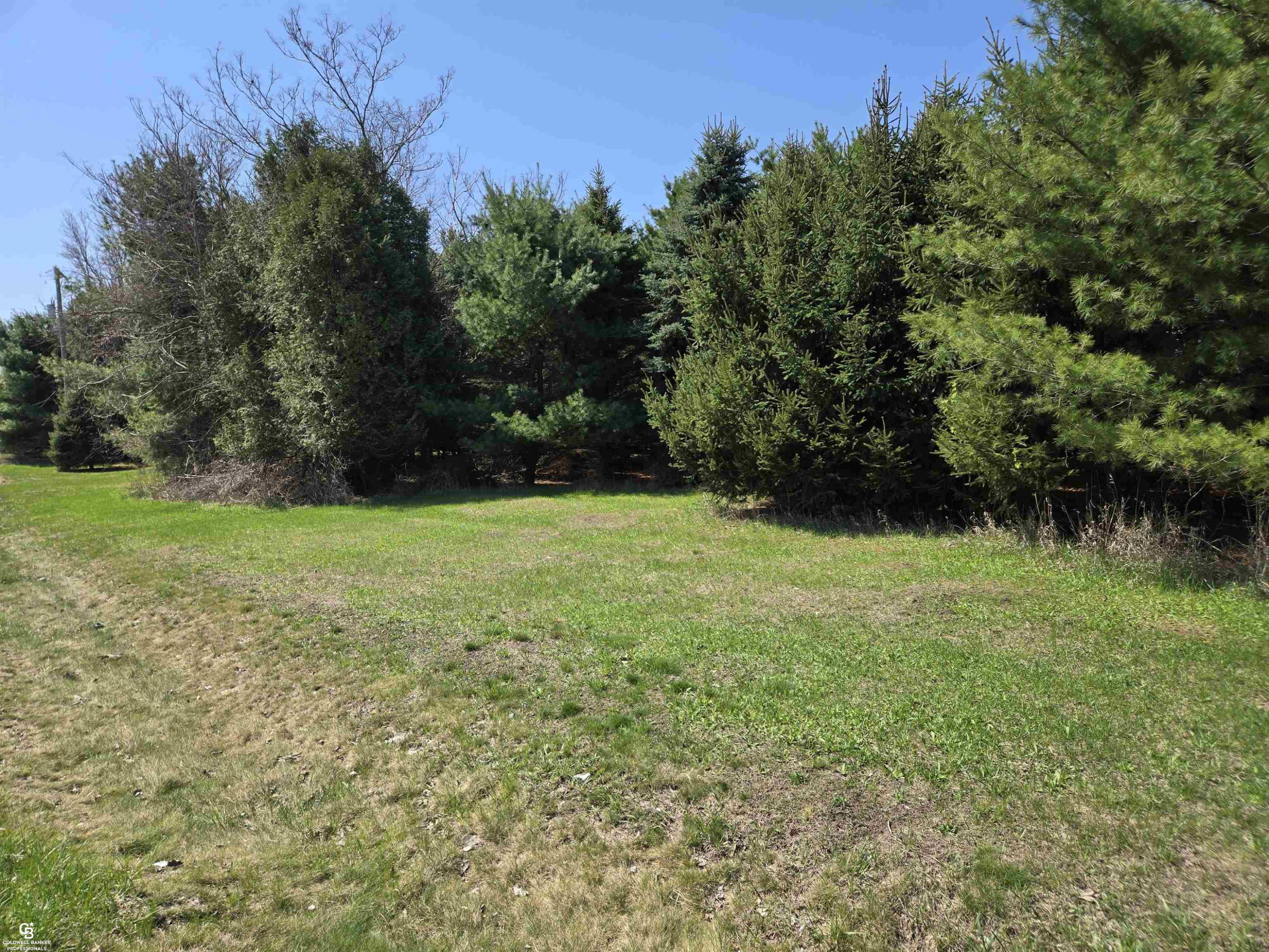 5834 Brockway Road, Peck, MI 48466 — Photo 4
