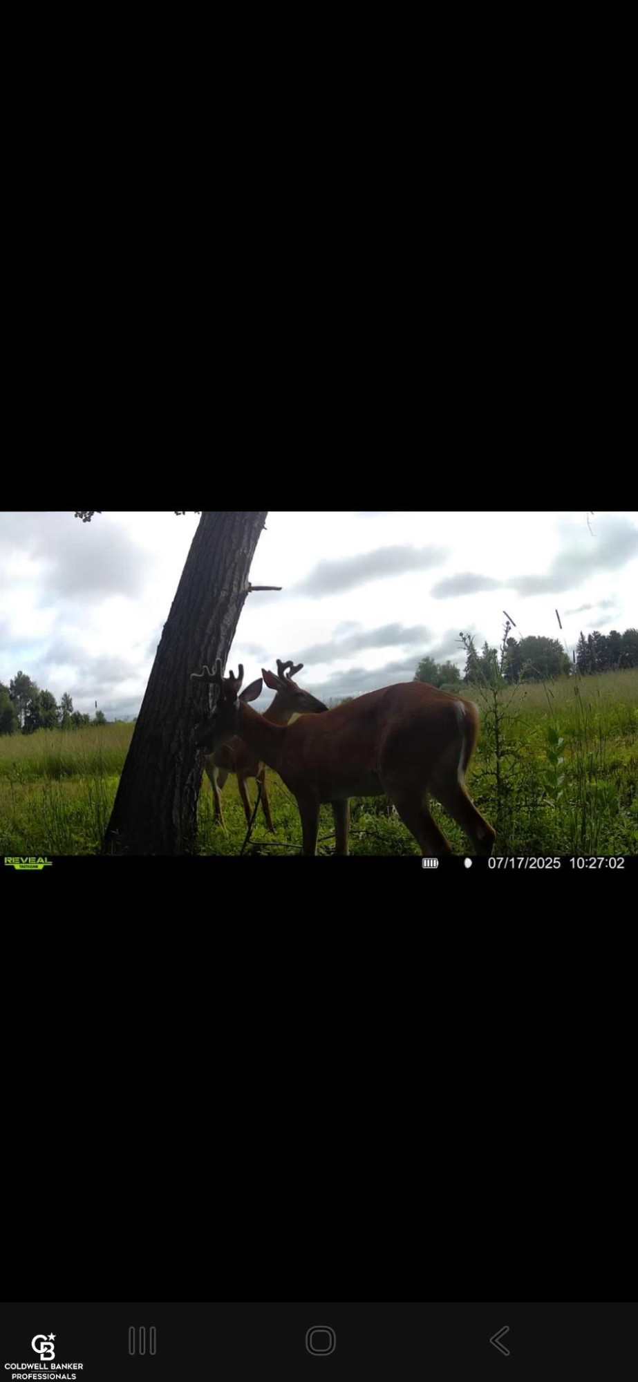 5834 Brockway Road, Peck, MI 48466 — Photo 17