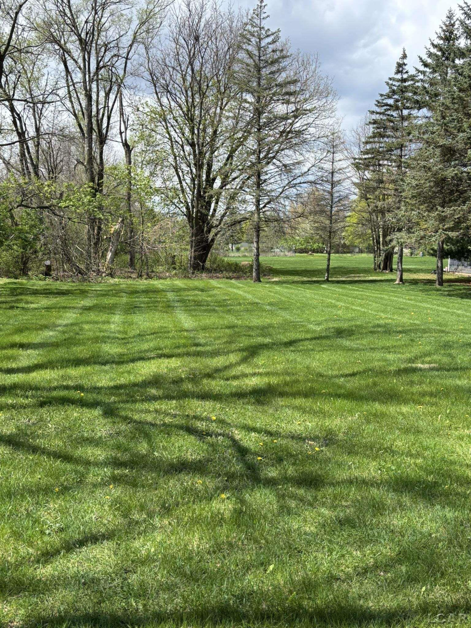 515 S Pearl Street, Tecumseh, MI 49286 — Photo 37
