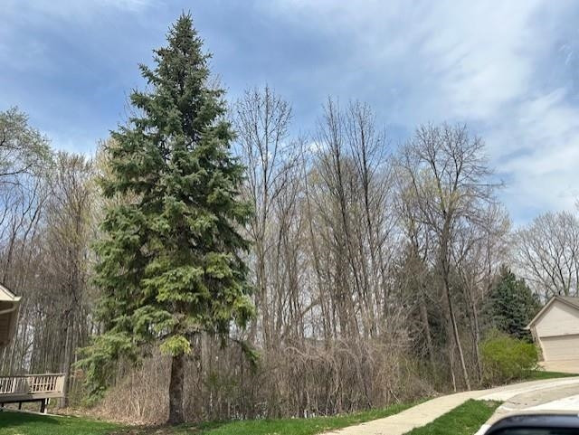 13871 Elmbrook Drive, Shelby Twp, MI 48315 — Photo 3