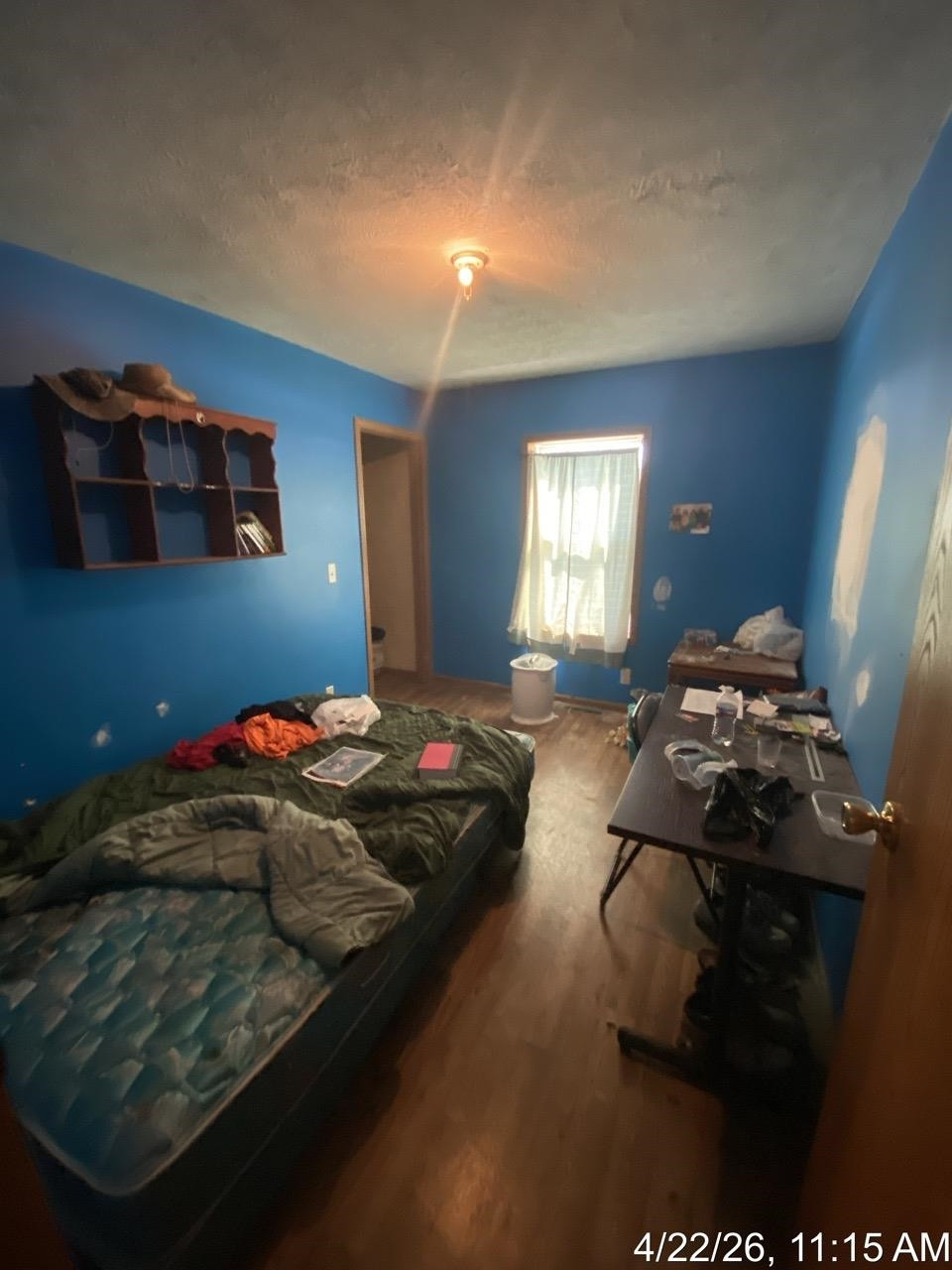 275 S Reed Street, Ashley, MI 48806 — Photo 8