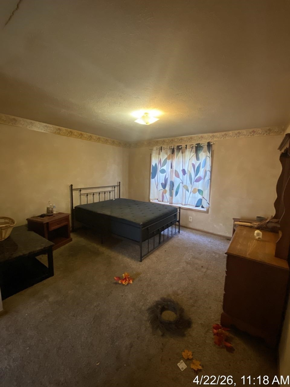 275 S Reed Street, Ashley, MI 48806 — Photo 12