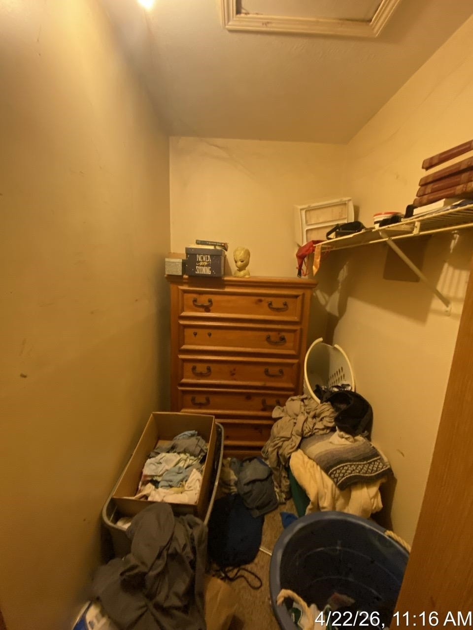 275 S Reed Street, Ashley, MI 48806 — Photo 14