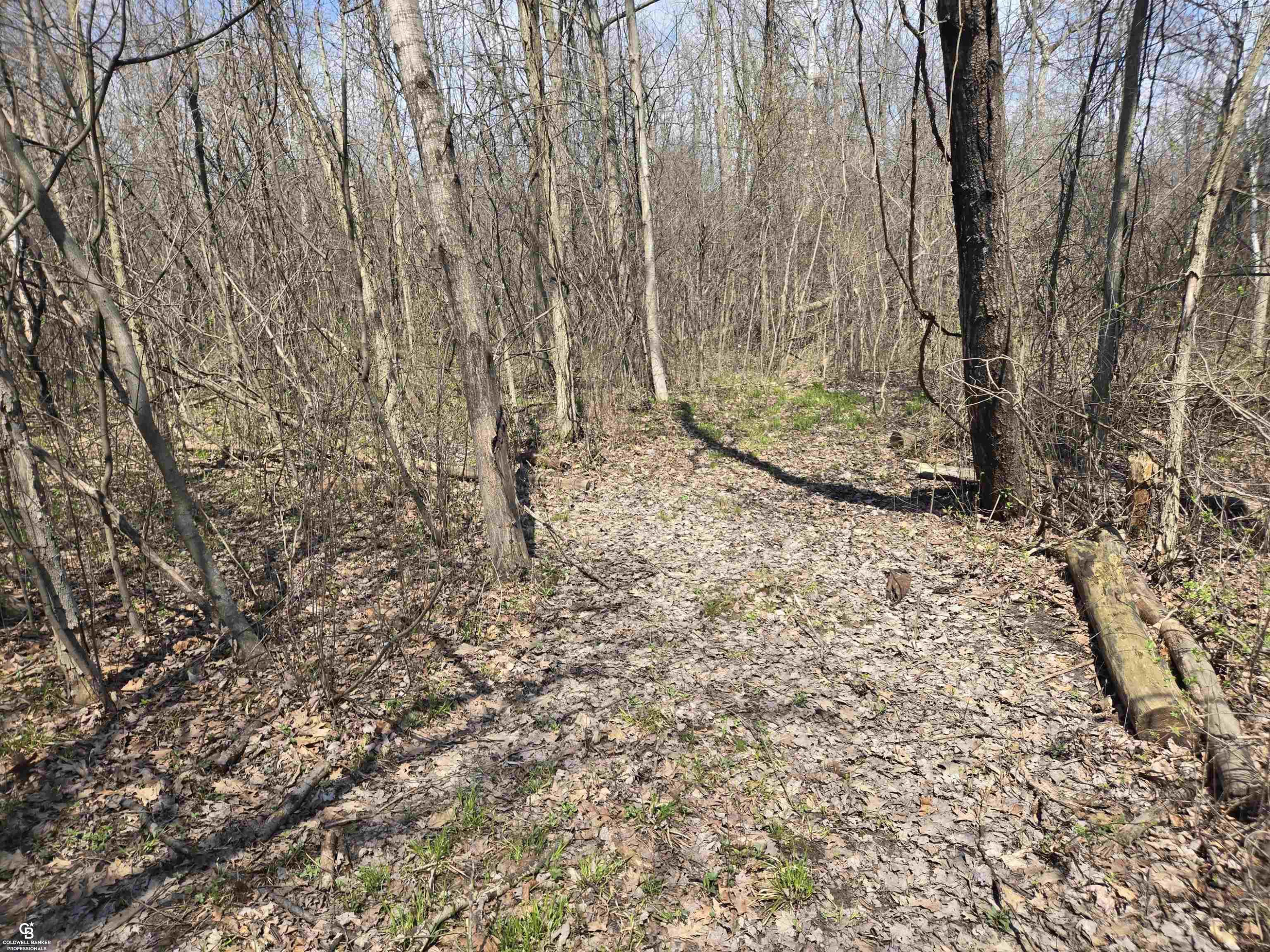 0 Range VL Road, MI — Photo 2