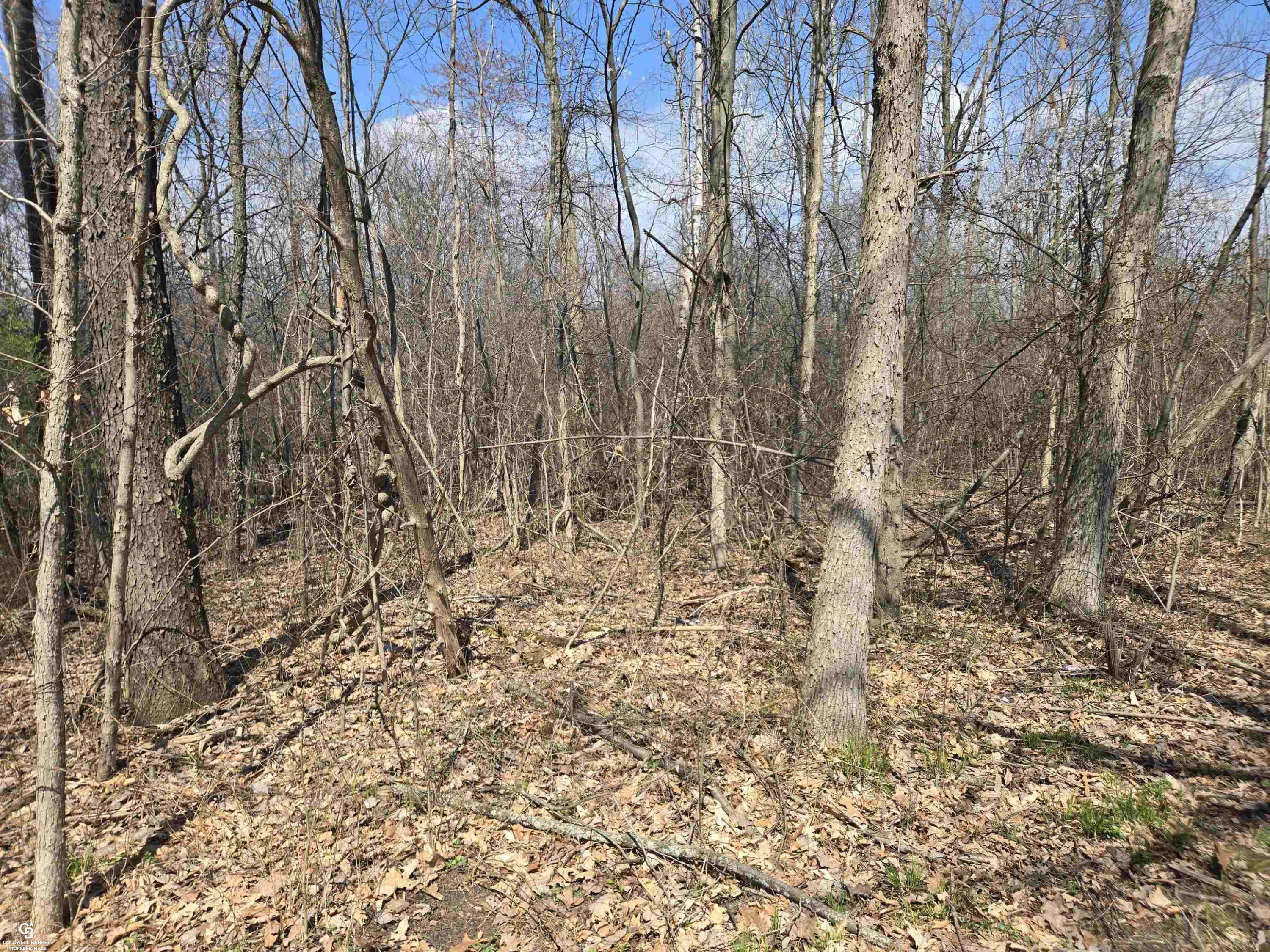0 Range VL Road, MI — Photo 11