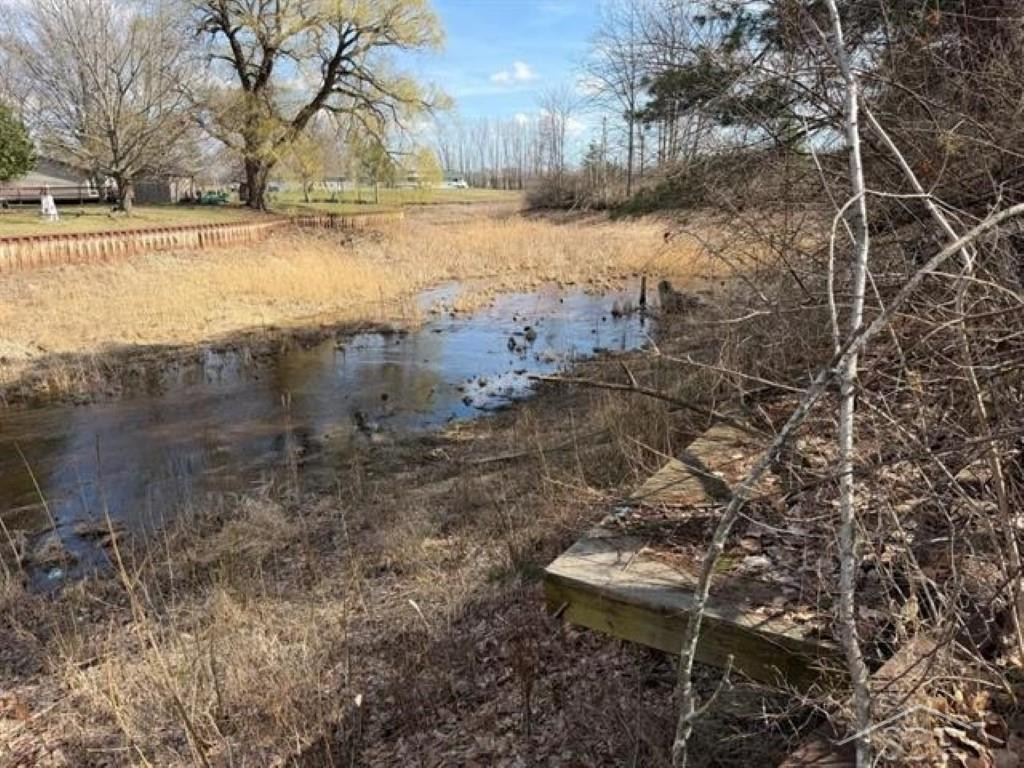 VL N Oswegathie Lane, Hope, MI 48626 — Photo 11
