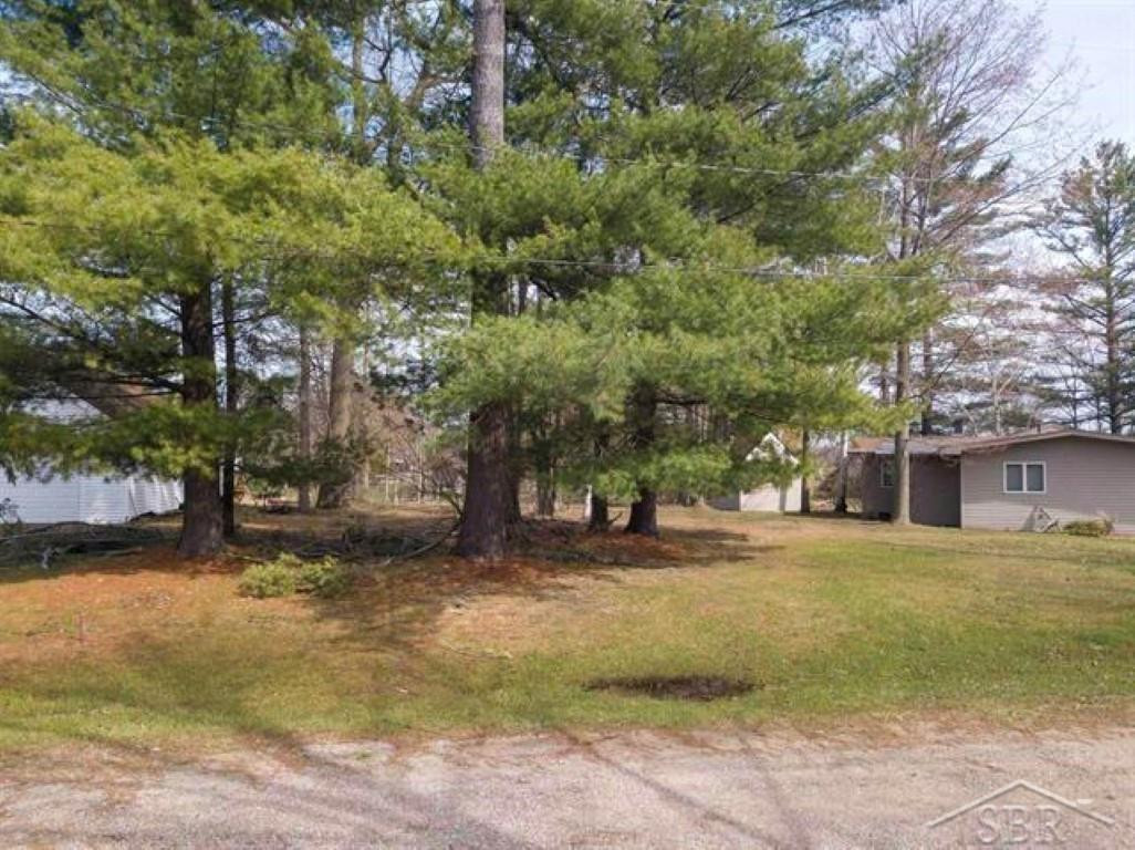 VL N Oswegathie Lane, Hope, MI 48626 — Photo 12