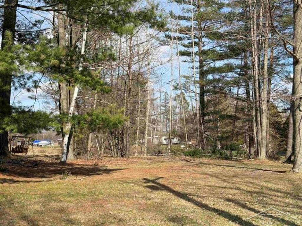 VL N Oswegathie Lane, Hope, MI 48626 — Photo 13
