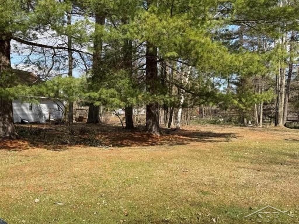 VL N Oswegathie Lane, Hope, MI 48626 — Photo 14