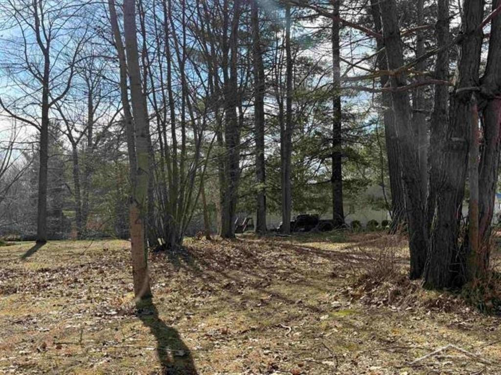 VL N Oswegathie Lane, Hope, MI 48626 — Photo 15