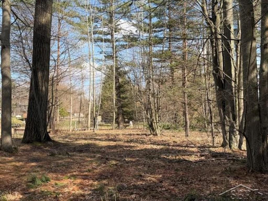 VL N Oswegathie Lane, Hope, MI 48626 — Photo 16