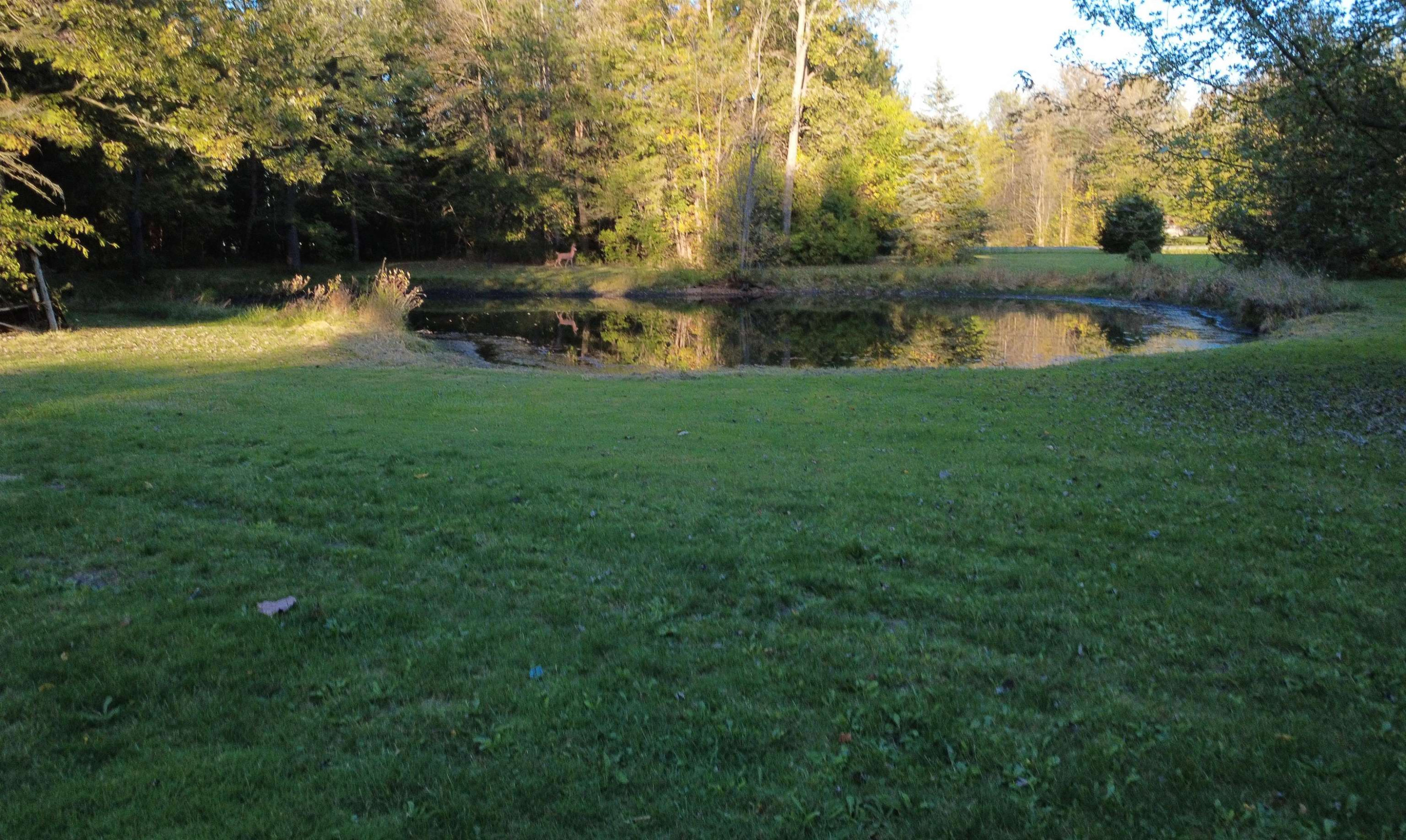 4042 W Farrand Road, Clio, MI 48420 — Photo 30