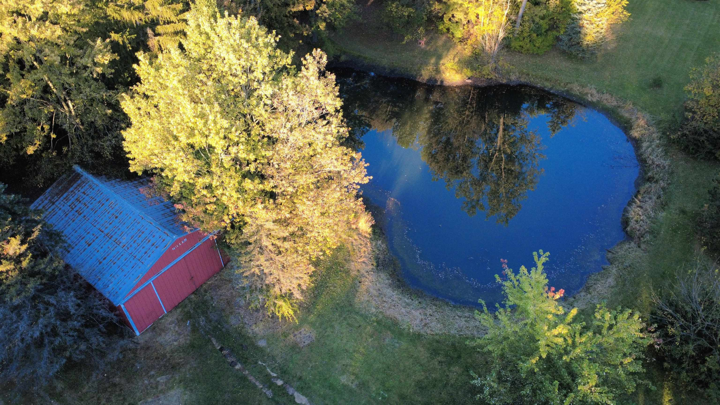 4042 W Farrand Road, Clio, MI 48420 — Photo 31