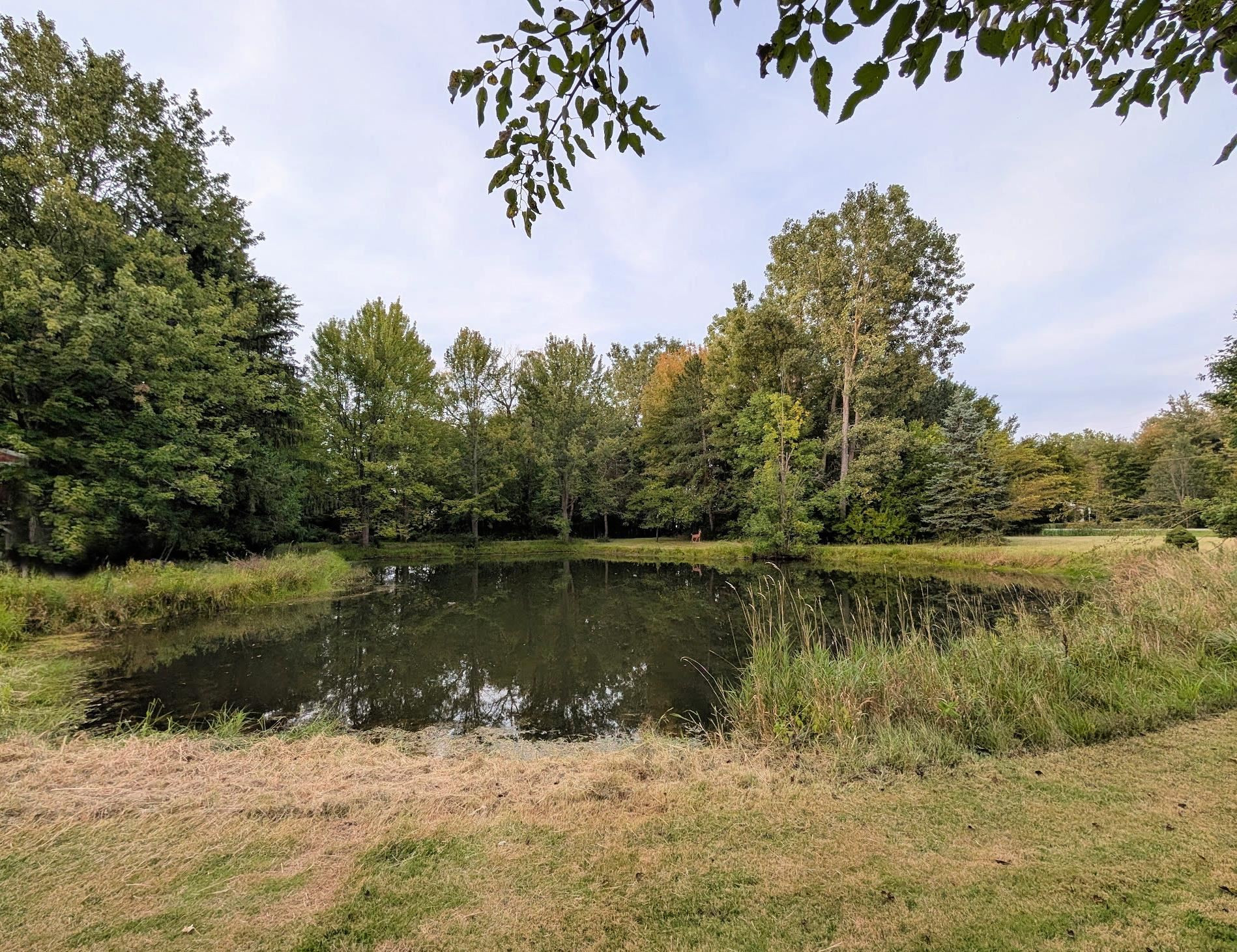 4042 W Farrand Road, Clio, MI 48420 — Photo 33