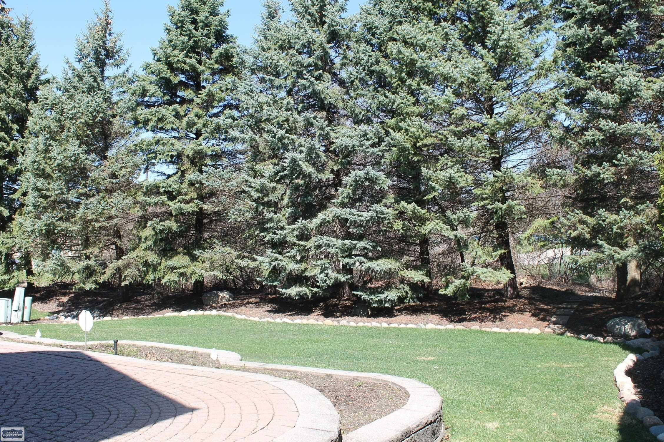 20316 Huron Dr. Drive, Clinton Twp, MI 48038 — Photo 6