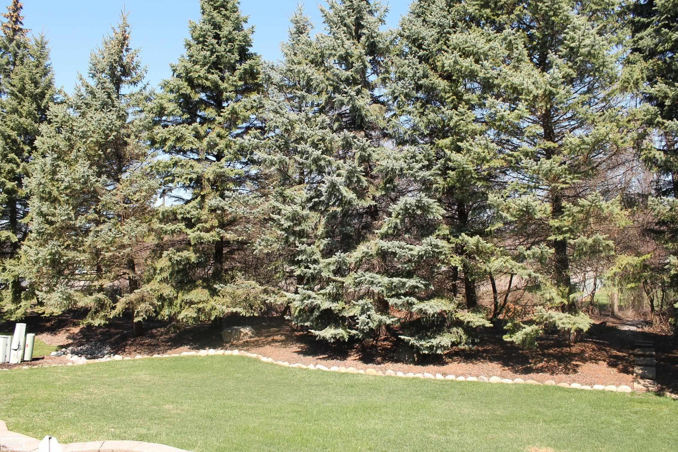 20316 Huron Dr. Drive, Clinton Twp, MI 48038 — Photo 8