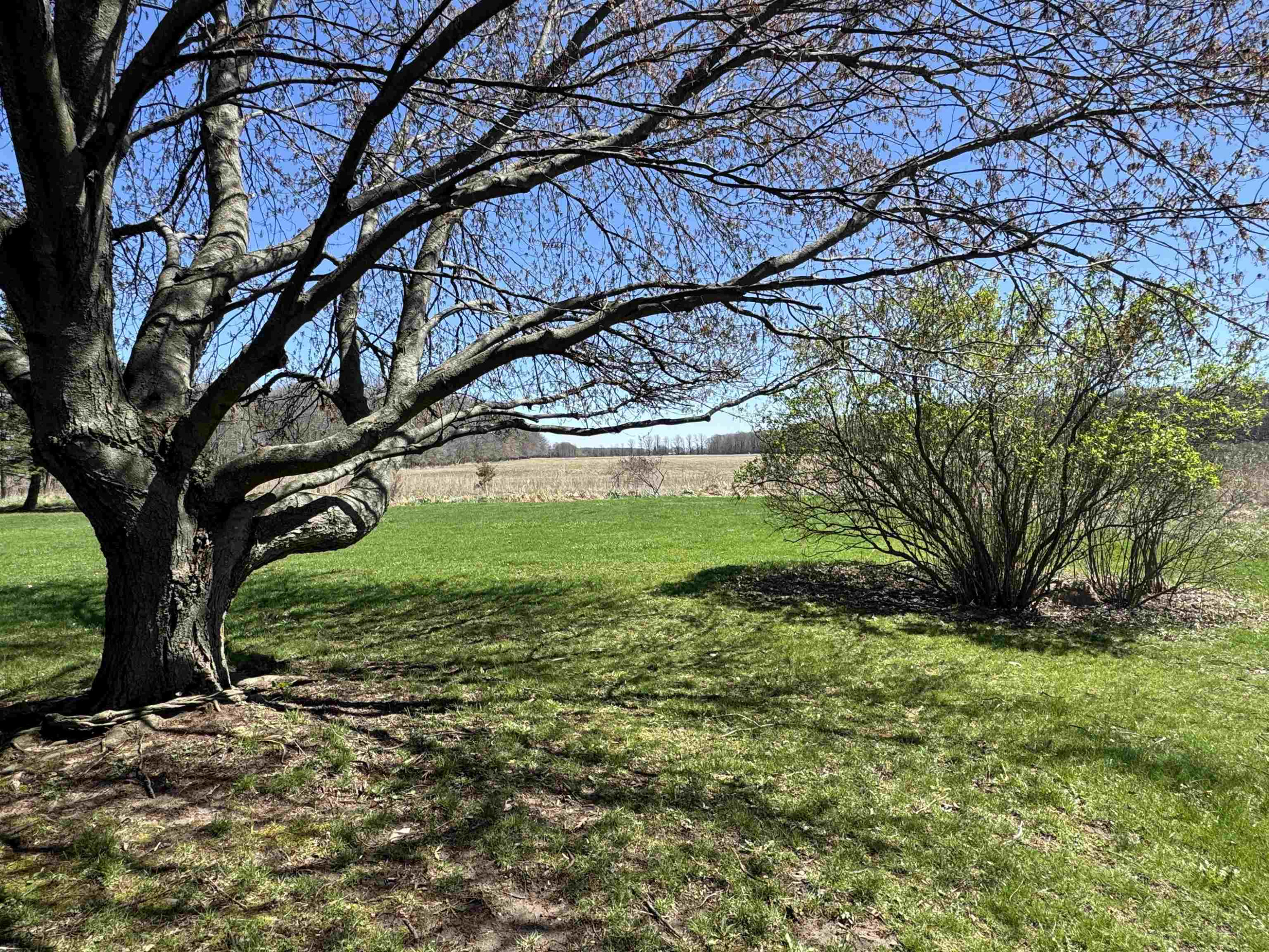 3492 N Ridley Road, Owosso, MI 48867 — Photo 56